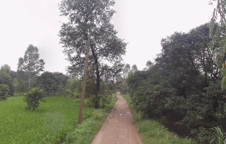 Rampur Maniharan Dehat, Uttar Pradesh 247451, India preview 2