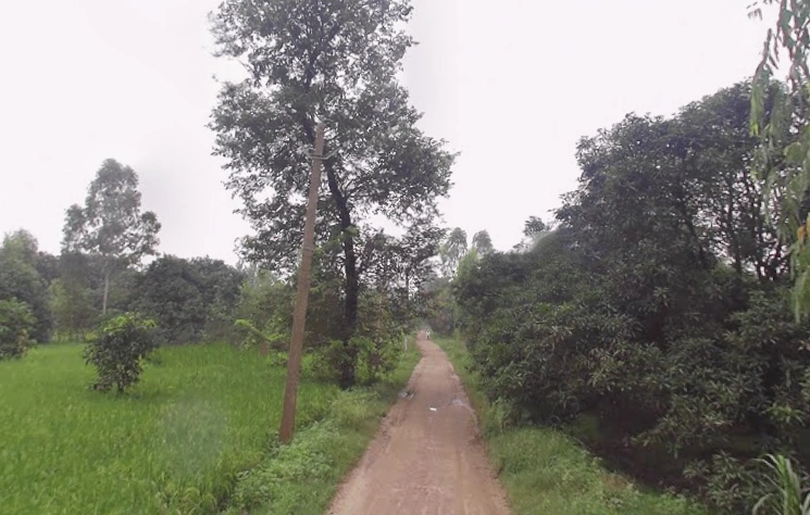 Rampur Maniharan Dehat, Uttar Pradesh 247451, India