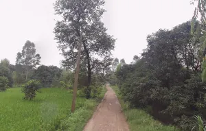Rampur Maniharan Dehat, Uttar Pradesh 247451, India preview 2