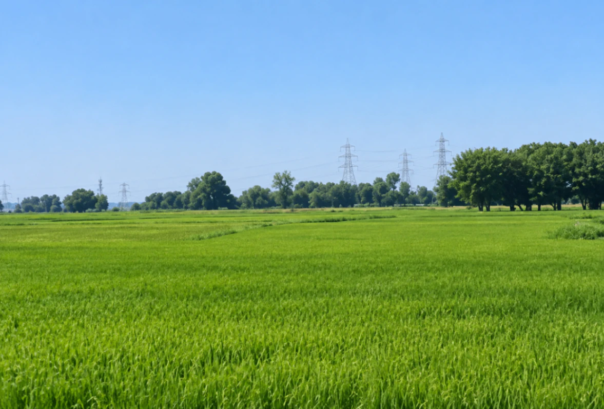 Ayodhya, Uttar Pradesh, India