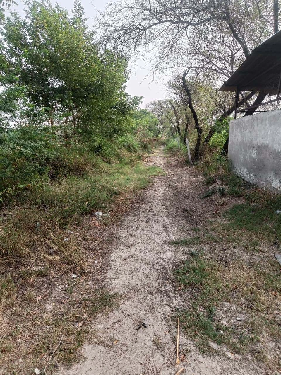 Ajhai Kalan, Uttar Pradesh 281406, India