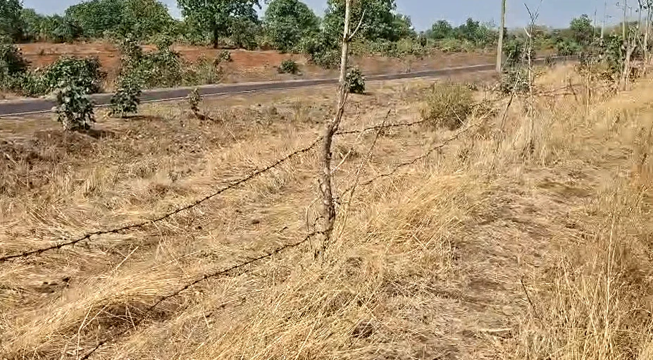 Damodara, Jaunpur, Uttar Pradesh 222137, India