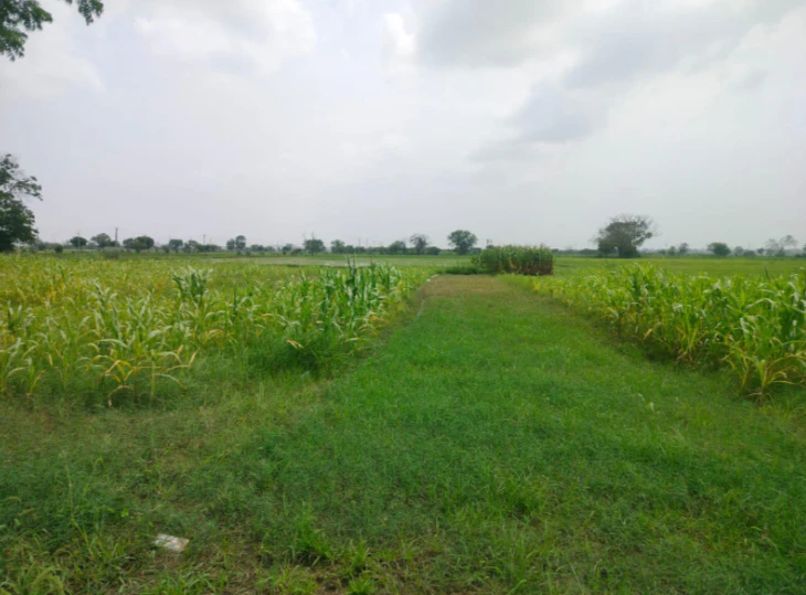 Rasulpur Rd, Old Delhi, Rasulpur, Rani Khera, Delhi, 110081, India