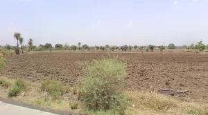 Berchha, Madhya Pradesh 465110, India preview 2