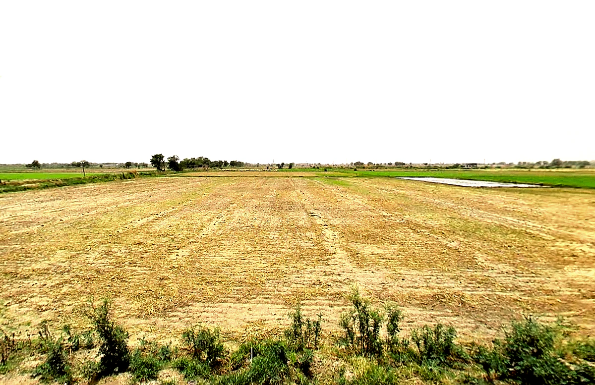 Pataudi, Haryana 122503, India