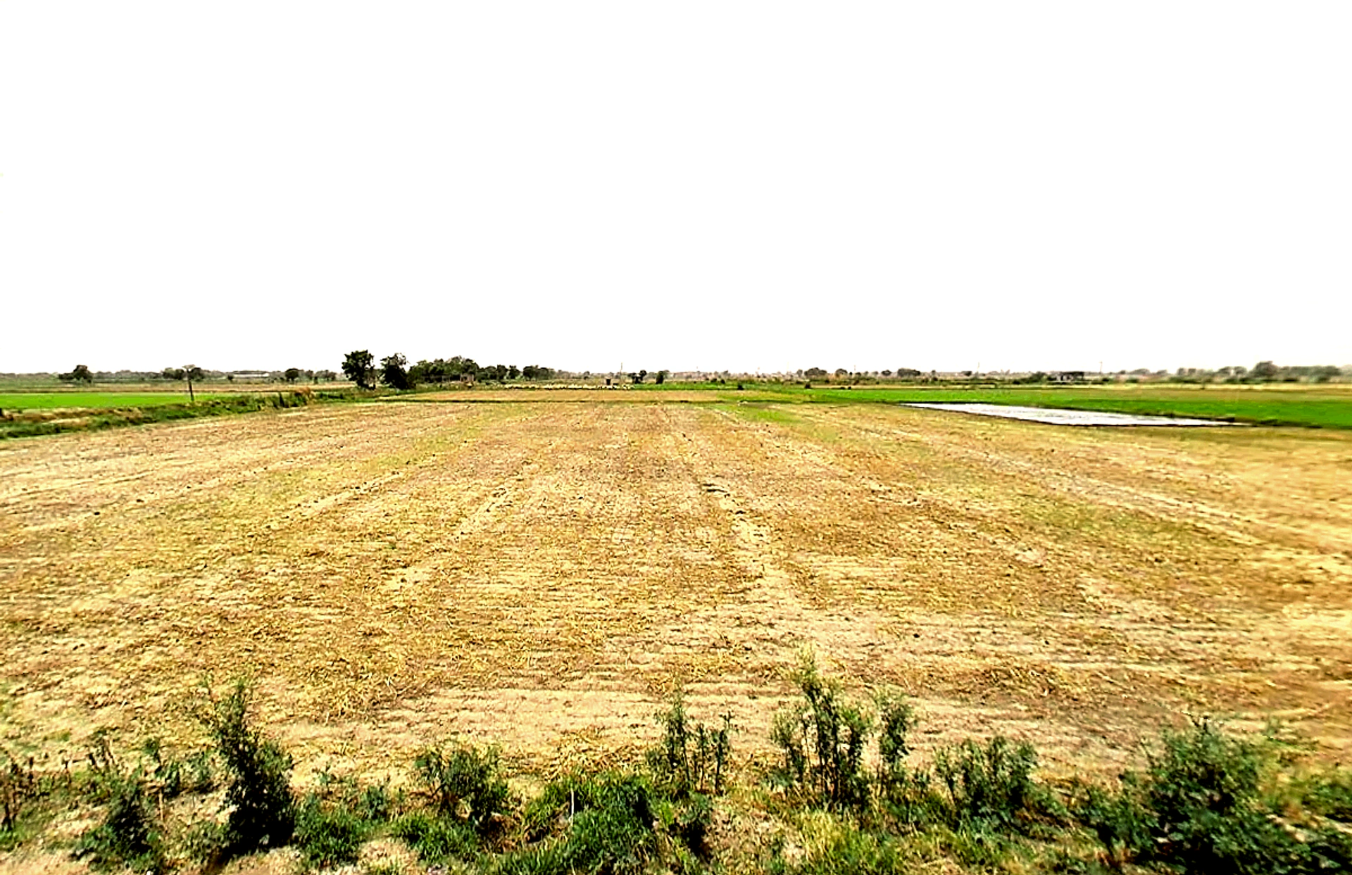 Pataudi, Haryana 122503, India