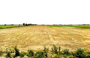 Pataudi, Haryana 122503, India preview 3