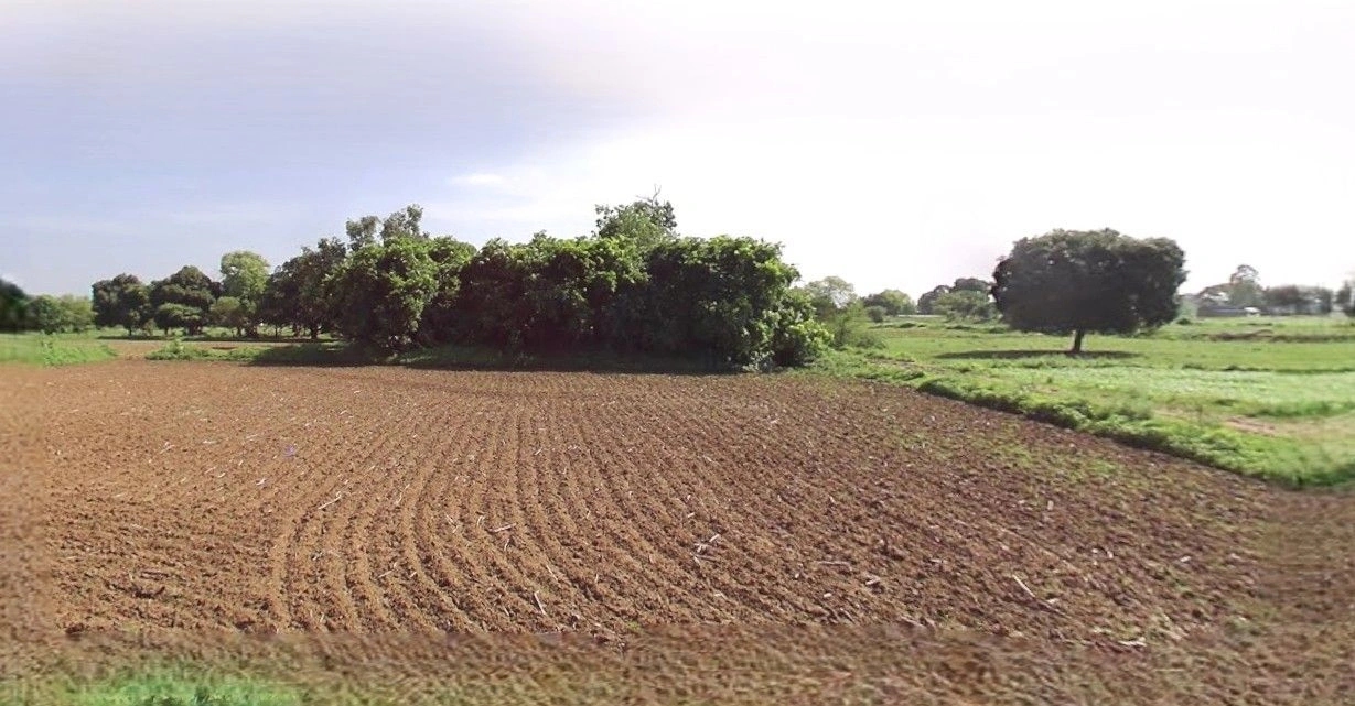 Badli, Haryana 124105, India