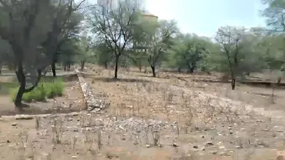 2Q6M+XM, Harmada, Jaipur, Rajasthan 302013, India preview 3