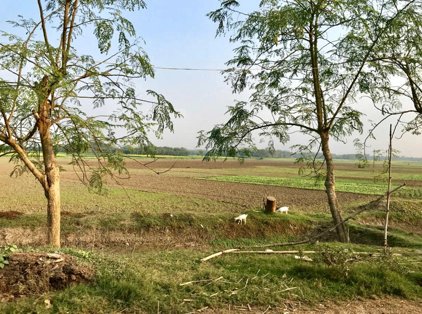Agroha, Haryana 125047, India