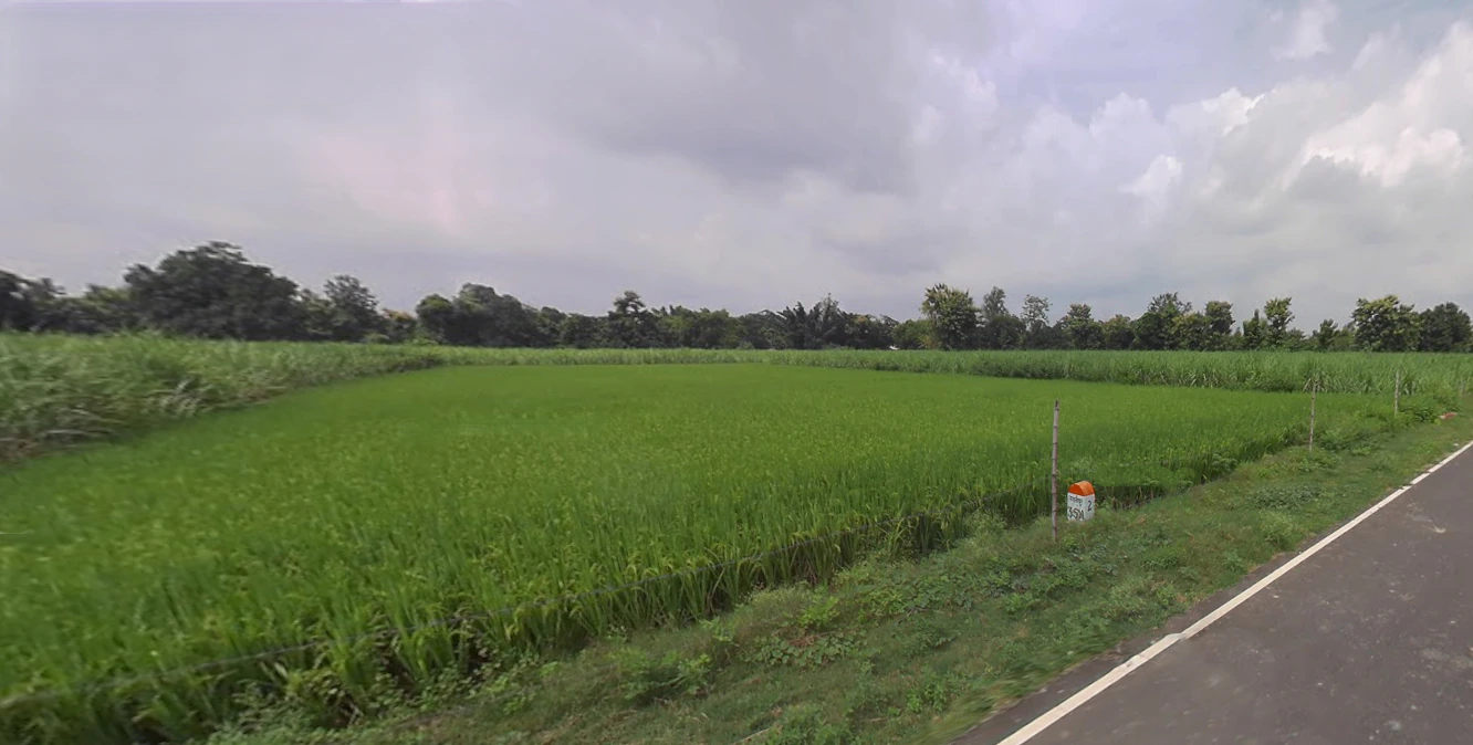 Biharigarh, Uttar Pradesh 247662, India