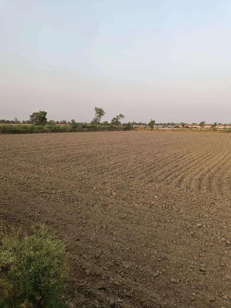 Chandauri, Uttar Pradesh, India