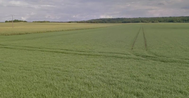 Bareli, Madhya Pradesh, India preview 3