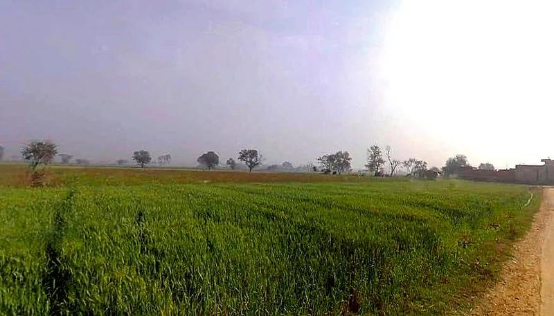 GWM7+R36, Sirmaur, Rajasthan 301026, India preview 2