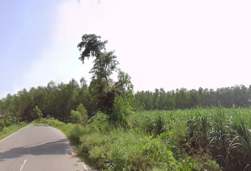 Dehradun Rd, Biharigarh, Uttar Pradesh, India preview 2