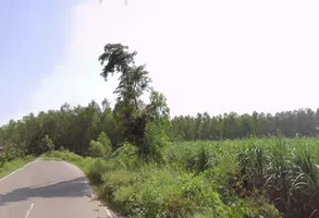 Dehradun Rd, Biharigarh, Uttar Pradesh, India preview 2