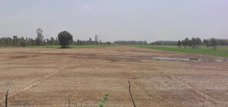 Raghunathpur, West Bengal 723133, India preview 2