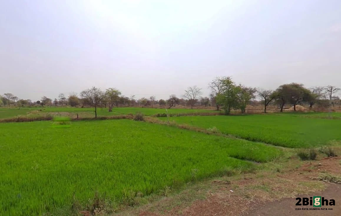 Gobra, Chhattisgarh, India