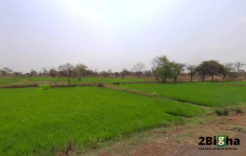 Gobra, Chhattisgarh, India preview 2