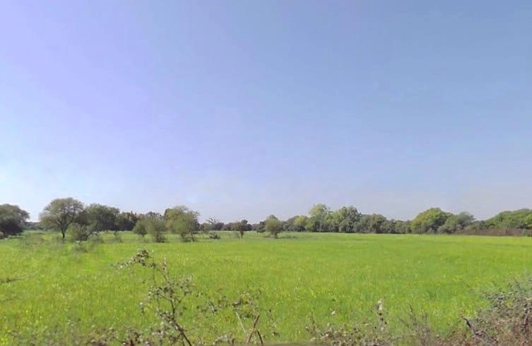 Ujara, Madhya Pradesh 471411, India