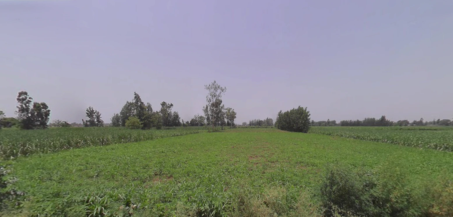 Bilsanda, Uttar Pradesh 262202, India