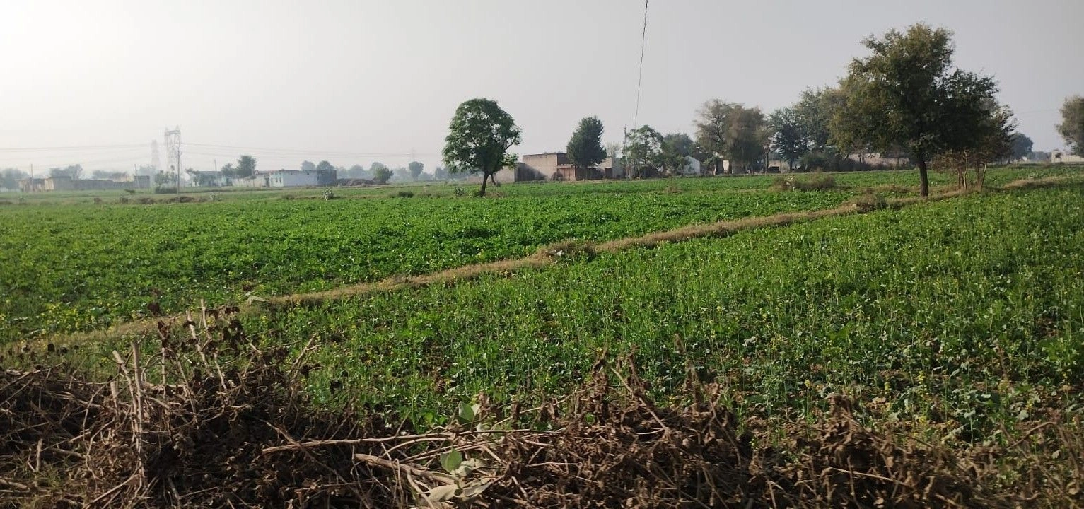 Jatiyana, Rajasthan, India