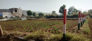 Kerwawal, Rajasthan, India preview 3