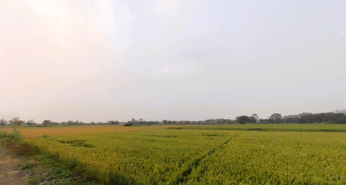 Mirzapur, Sector 74, Faridabad, Haryana 121006, India