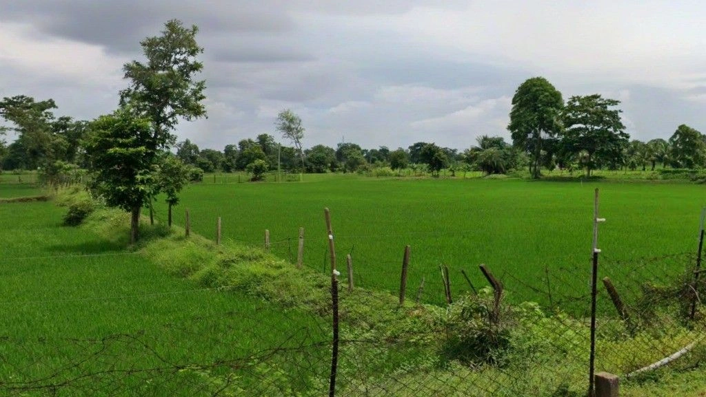 Kathiya, Chhattisgarh 491335, India