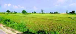 Raghunathpur, West Bengal 723133, India preview 3