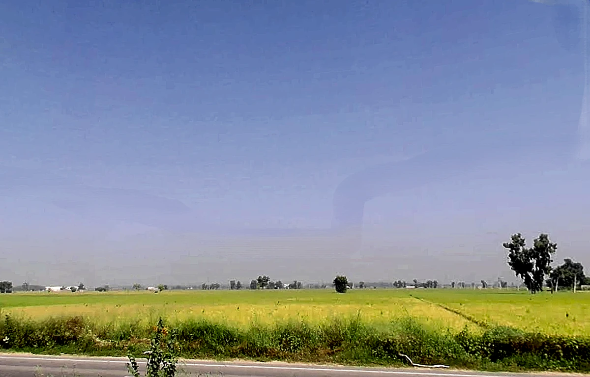 Agroha, Haryana 125047, India