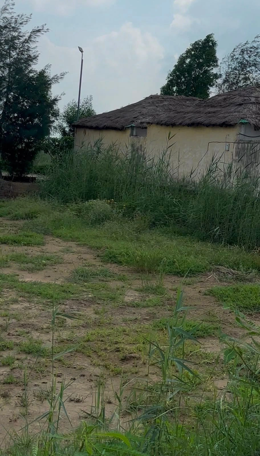 Kokilavan, Mathura, Vill Post, Bathain Kalan, Kokilavana, Uttar Pradesh 281403, India