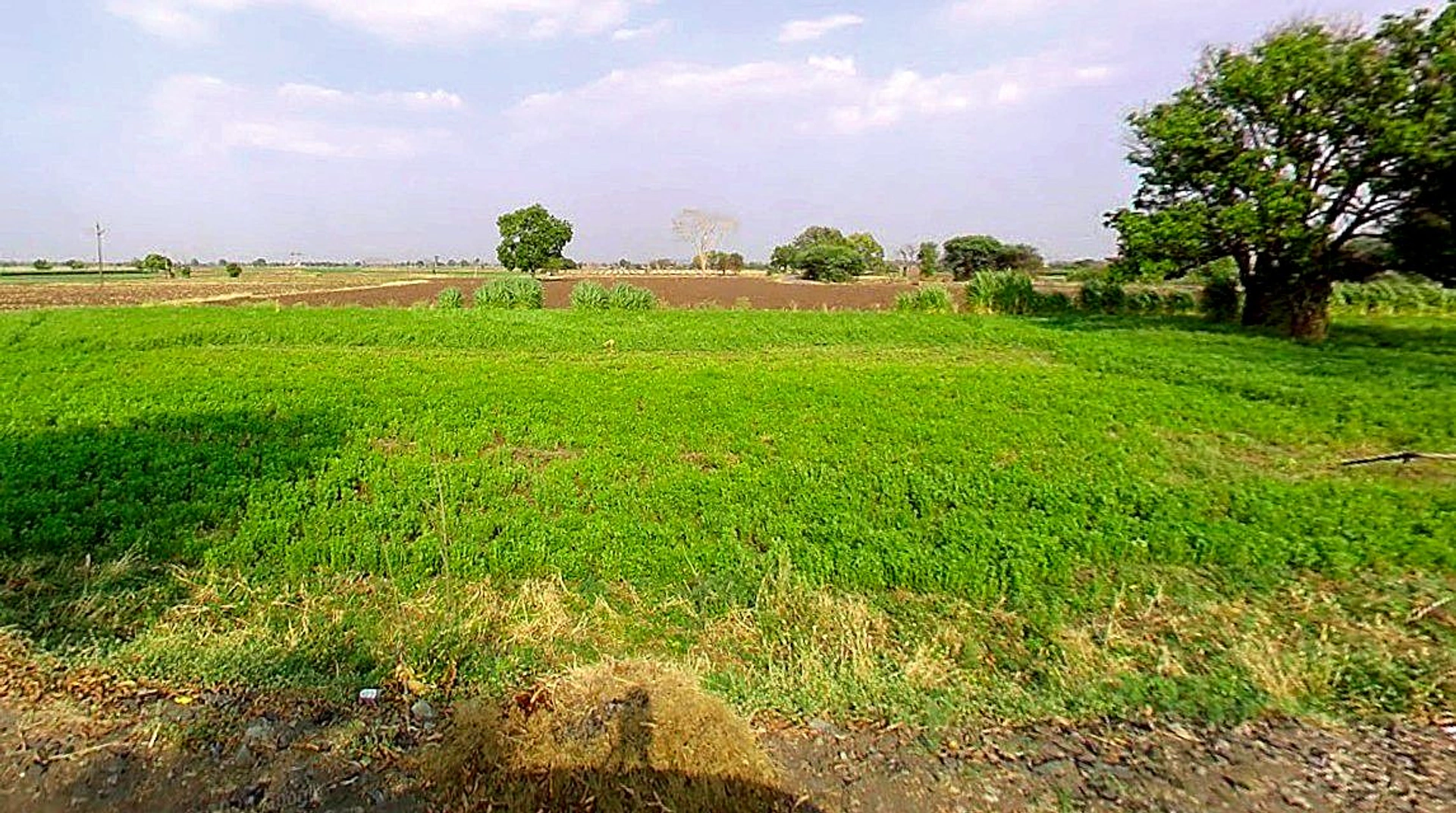 Kushalpura, Madhya Pradesh 466115, India