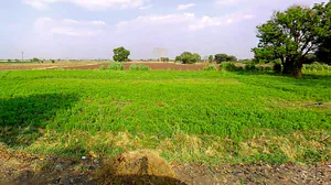 Kushalpura, Madhya Pradesh 466115, India preview 3