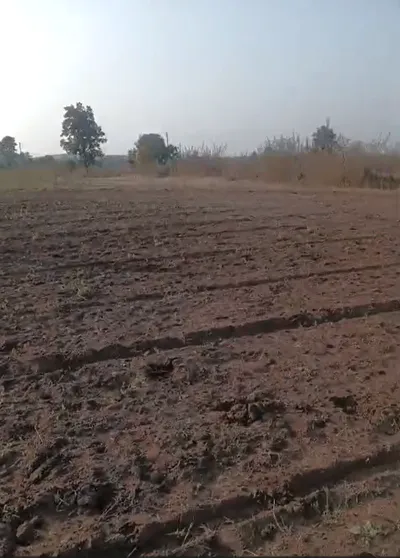 Bigpur, Chhatarpur, Madhya Pradesh 471515, India preview 2