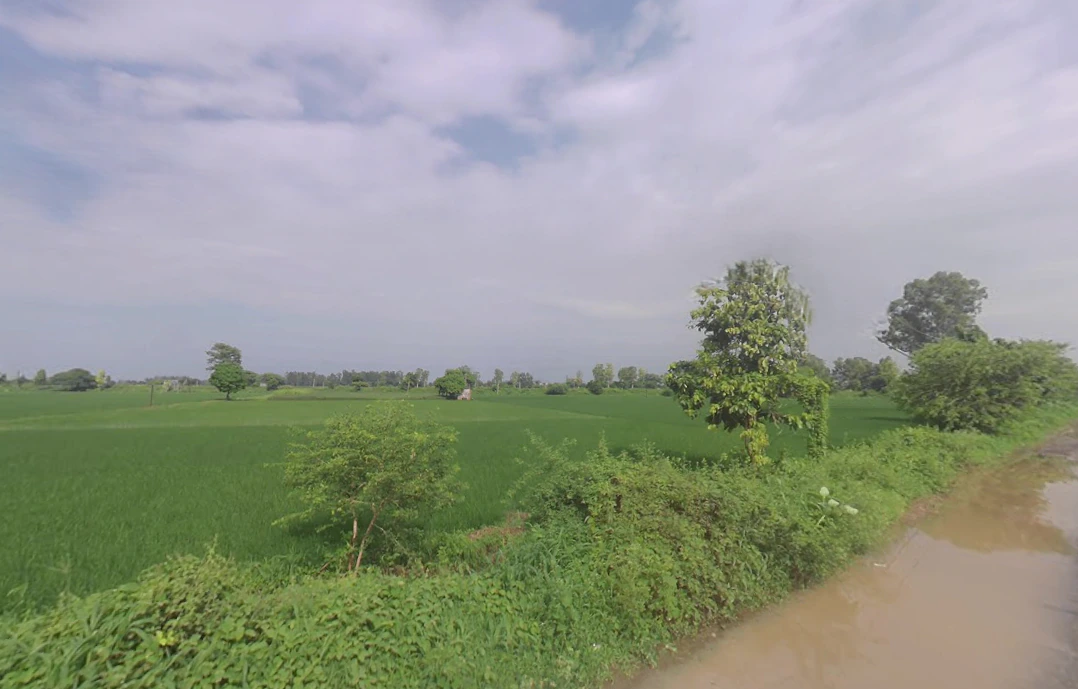 Chaudhariwas, Haryana 125007, India