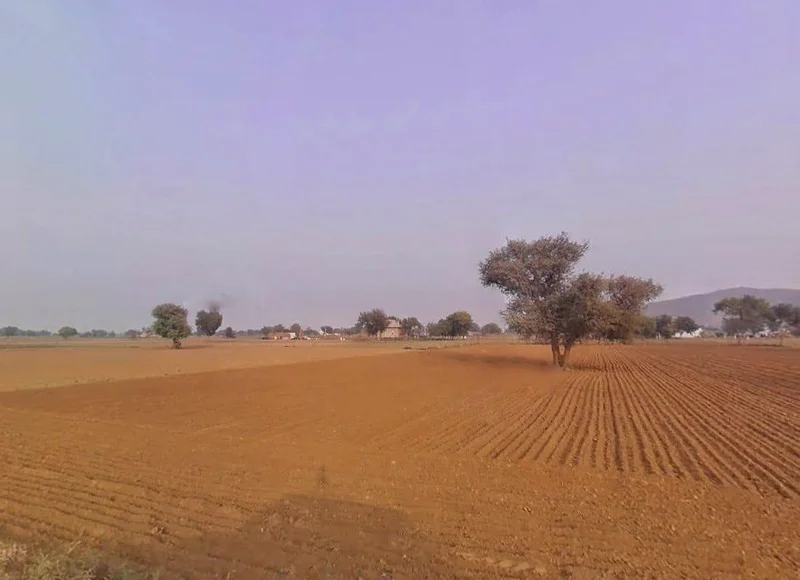 R6GC+6WV, Gothari, Rajasthan 303108, India preview 3