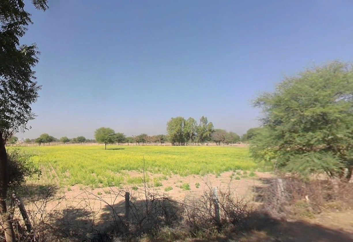 RCWJ+Q2 Kot Jewar, Rajasthan, India preview 3