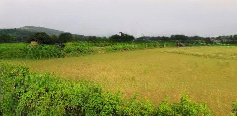 Tanda, Uttar Pradesh 244925, India preview 3