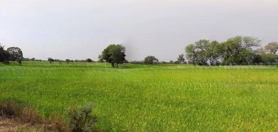 Bahadurgarh, Haryana, India