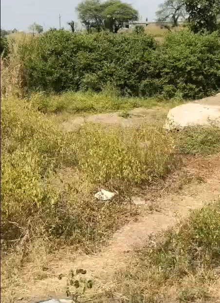 Berasia, Bhopal, Madhya Pradesh 463106, India