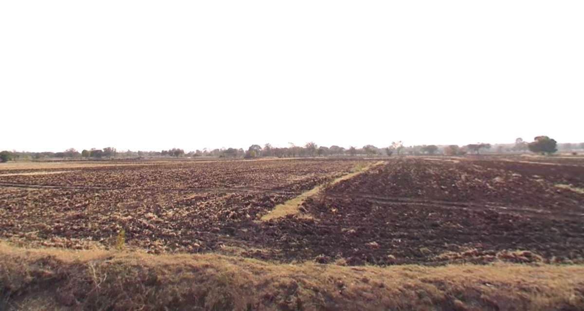 Poniya, Madhya Pradesh 483501, India