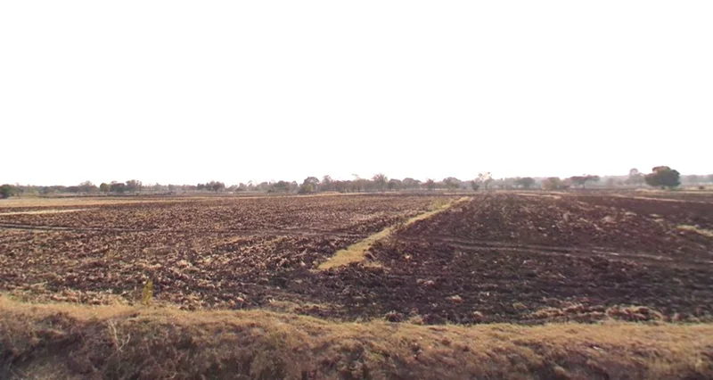 Poniya, Madhya Pradesh 483501, India preview 3