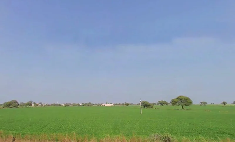 Lebad, Madhya Pradesh 454773, India preview 3