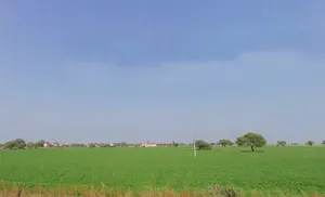 Lebad, Madhya Pradesh 454773, India preview 3