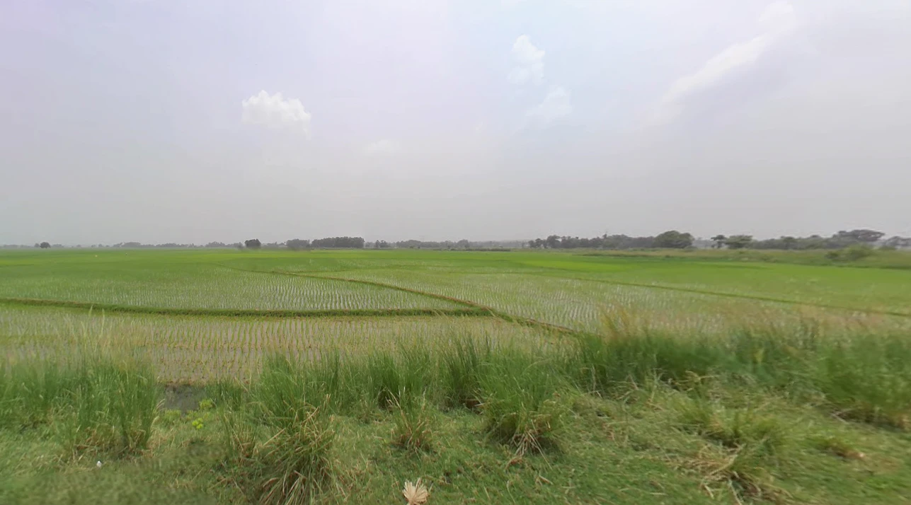 Santipur, West Bengal 741404, India