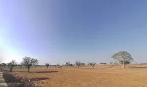 8C26+84Q, Lamiyan, Rajasthan, India preview 3