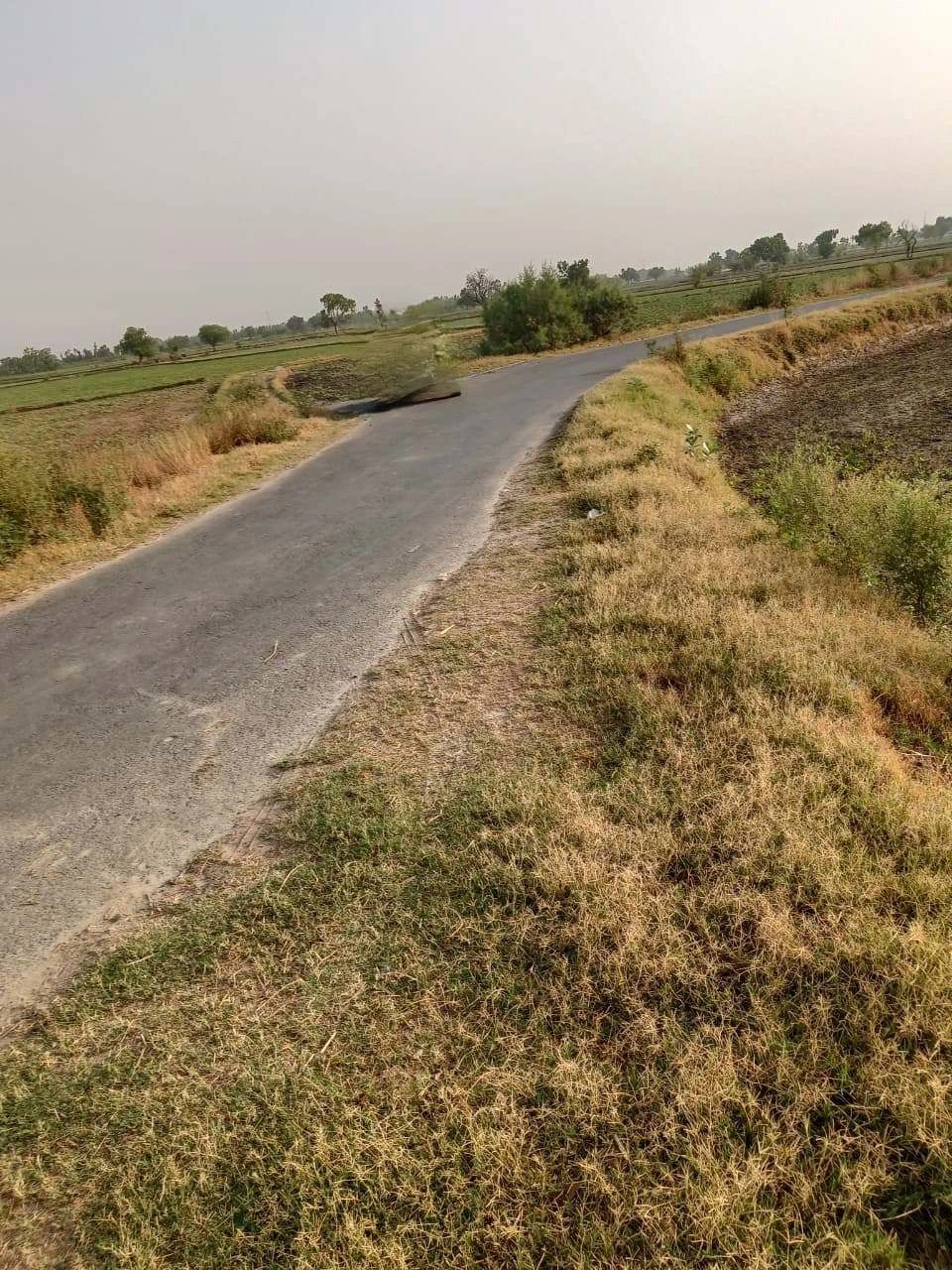 Tentigaon, Uttar Pradesh, India