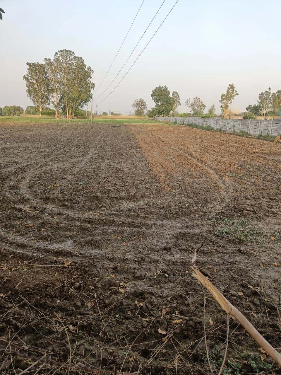 Chandauri, Uttar Pradesh, India preview 3