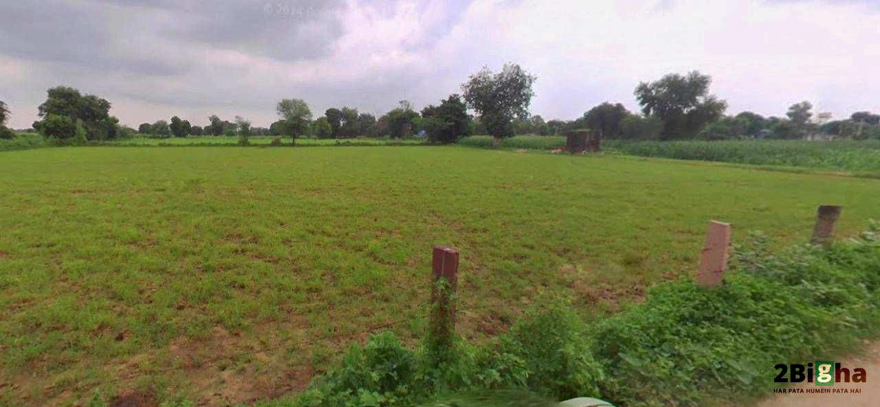 Roorkee, Uttarakhand, India